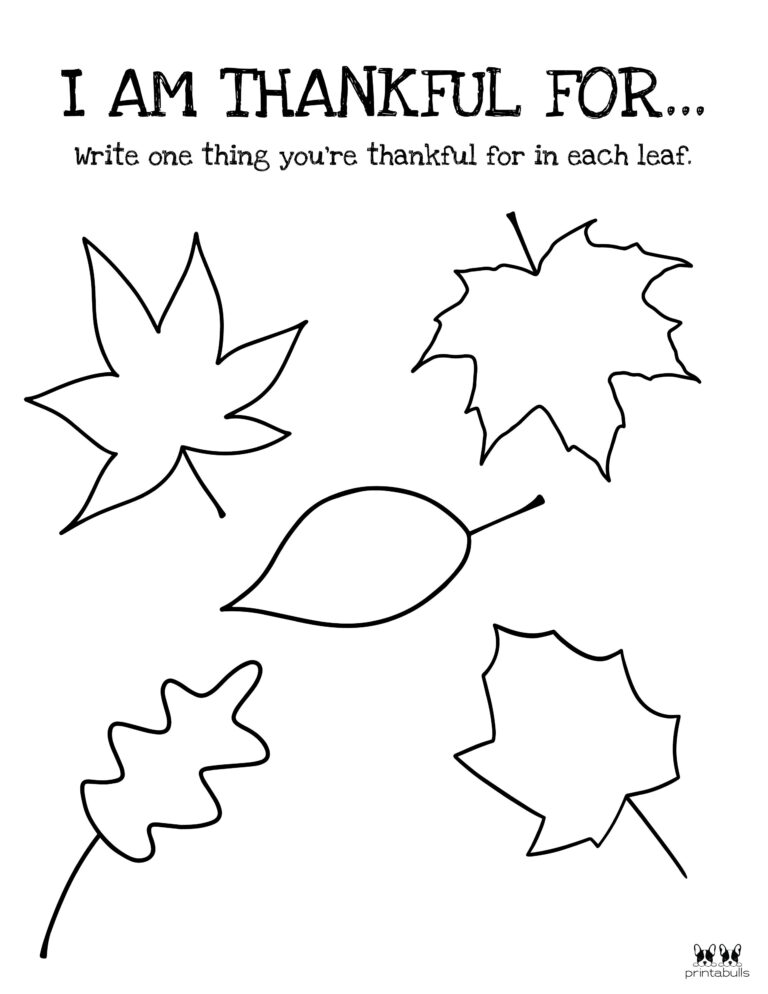 I Am Thankful For Worksheet