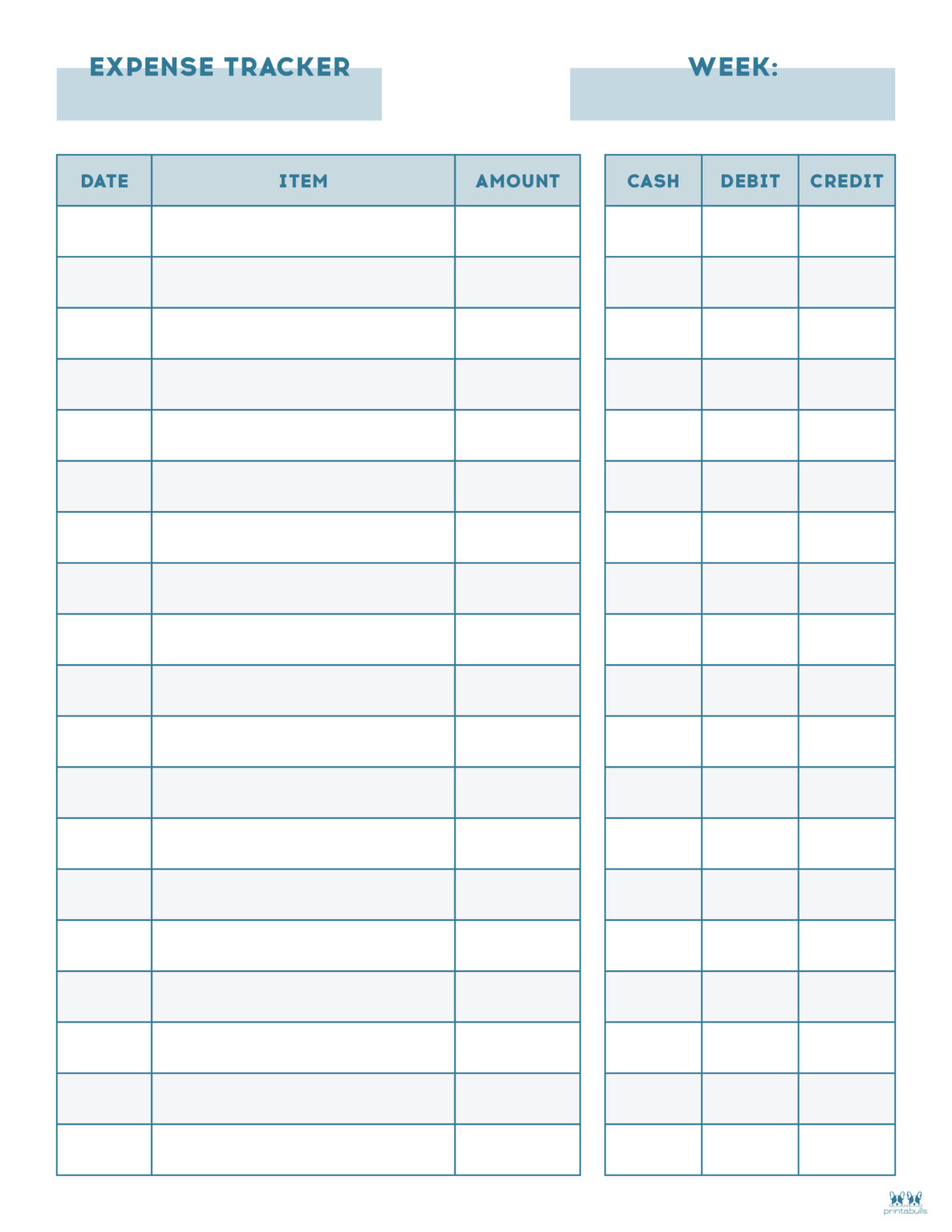 free kids expense tracker printable in color