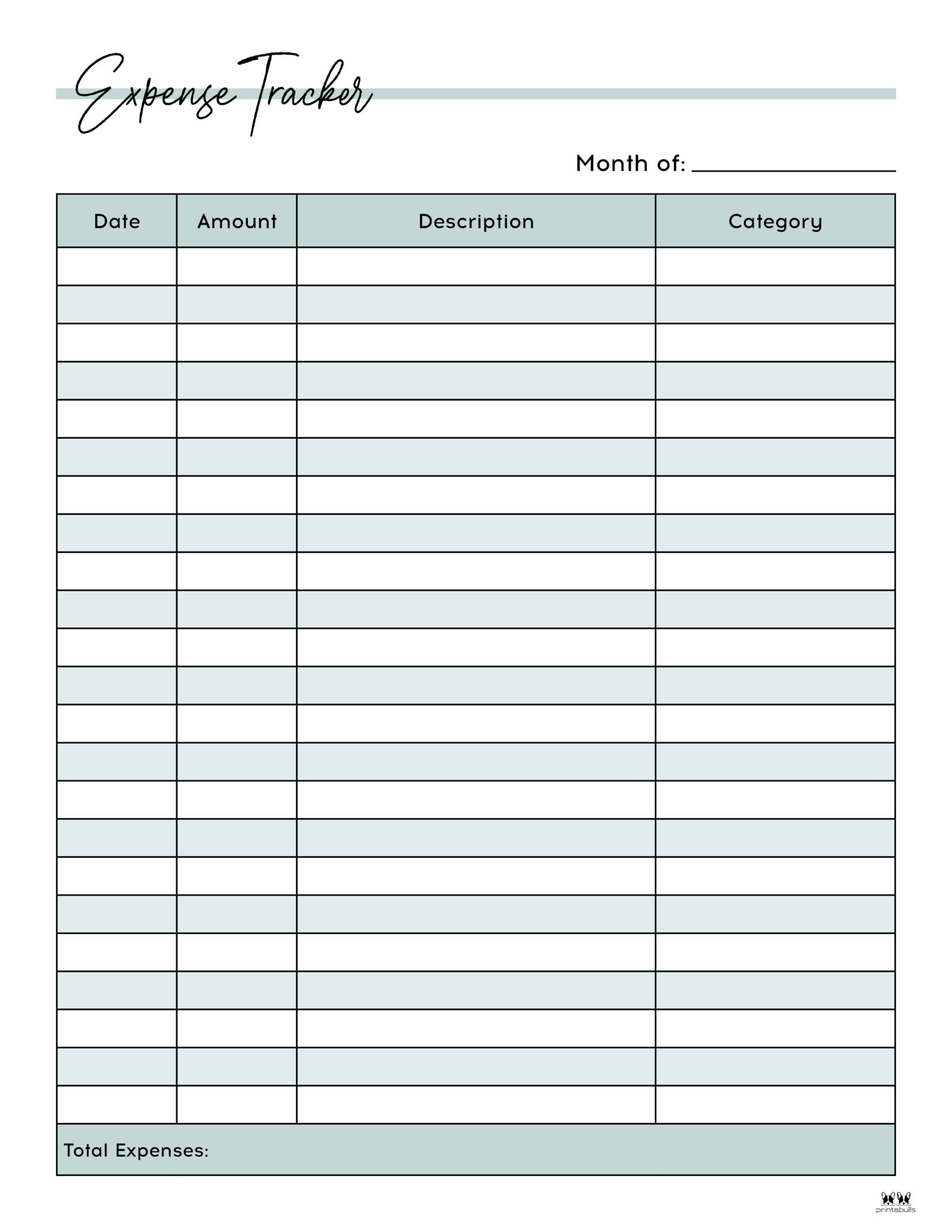 Expense Tracker Printables - 20 Free Options 