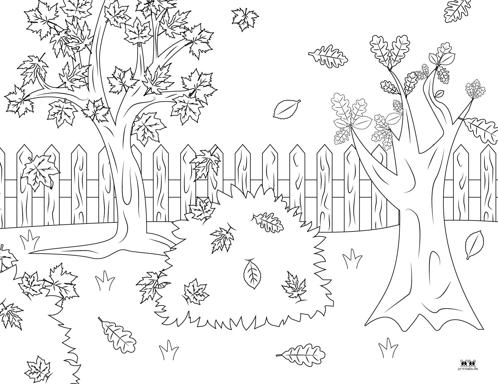 Leaf Outlines, Templates & Coloring Pages - 55 FREE Pages | Printabulls