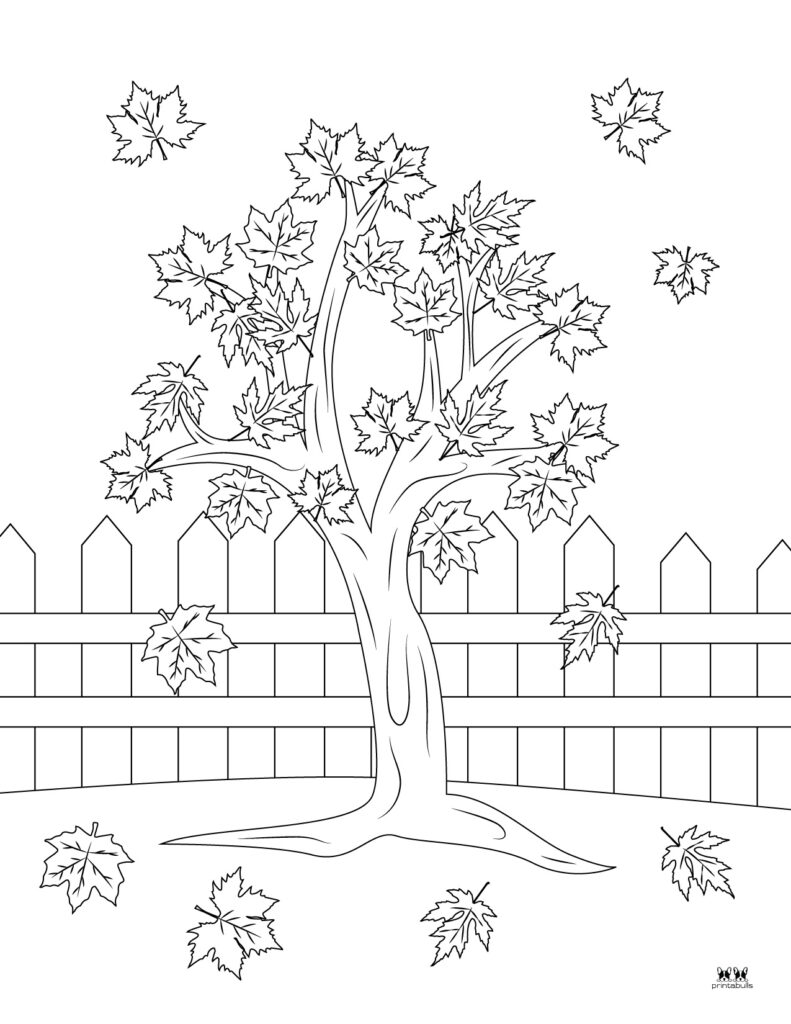 maple tree coloring pages
