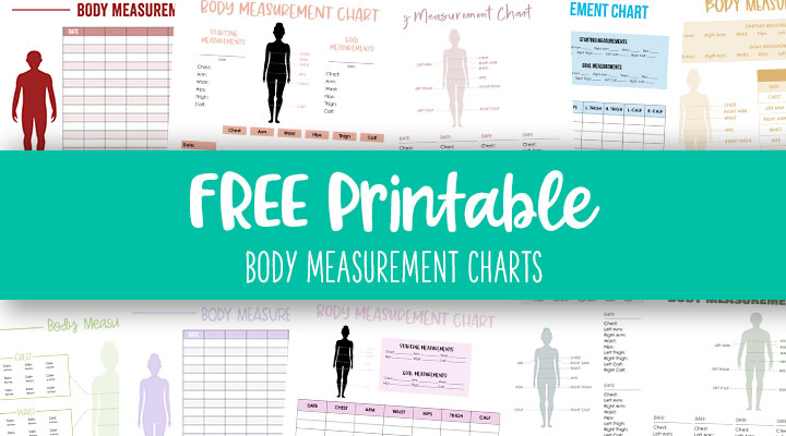 male body measurement tracker chart