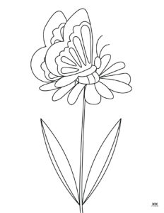 Butterfly Coloring Pages - 50 FREE Pages | Printabulls