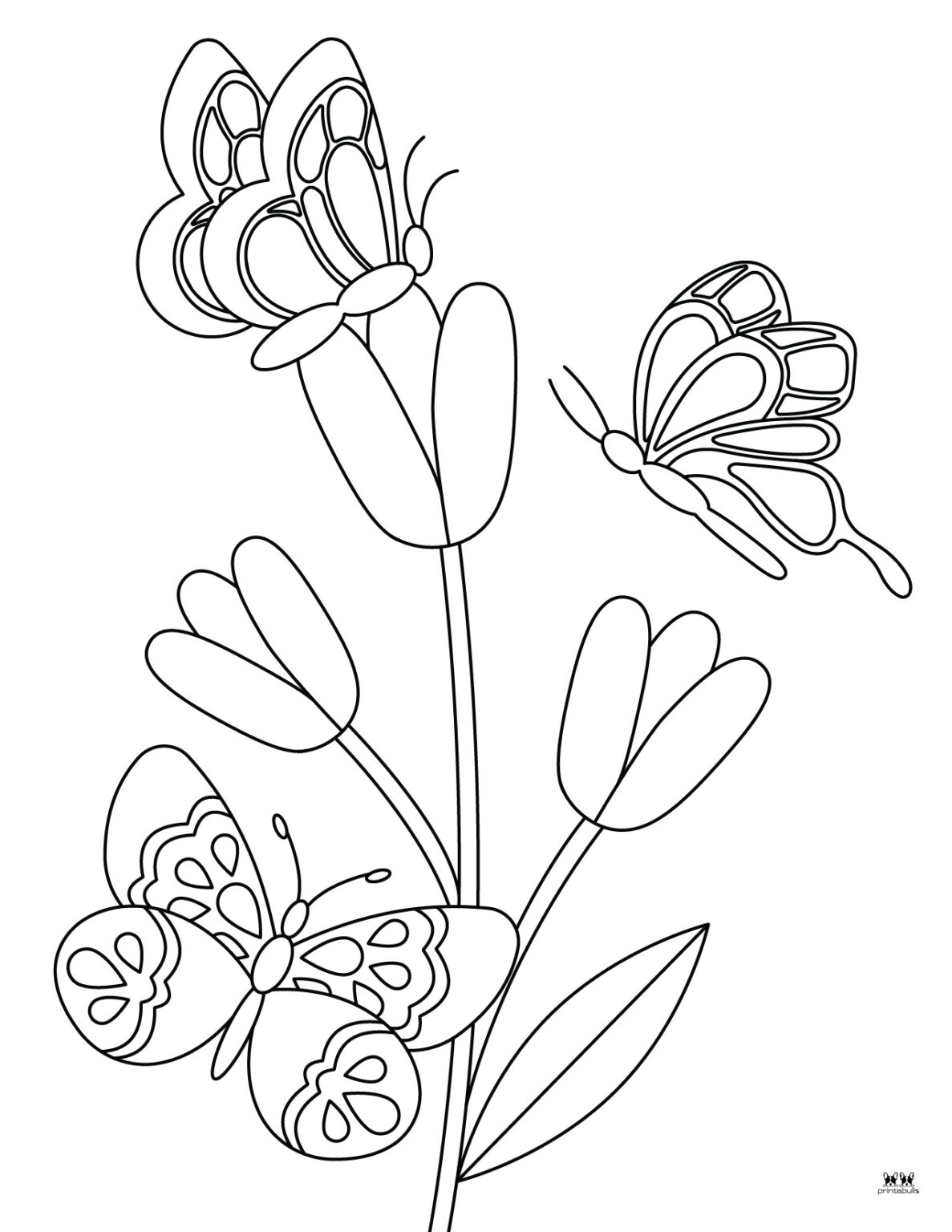 Butterfly Coloring Pages - 50 FREE Pages | Printabulls