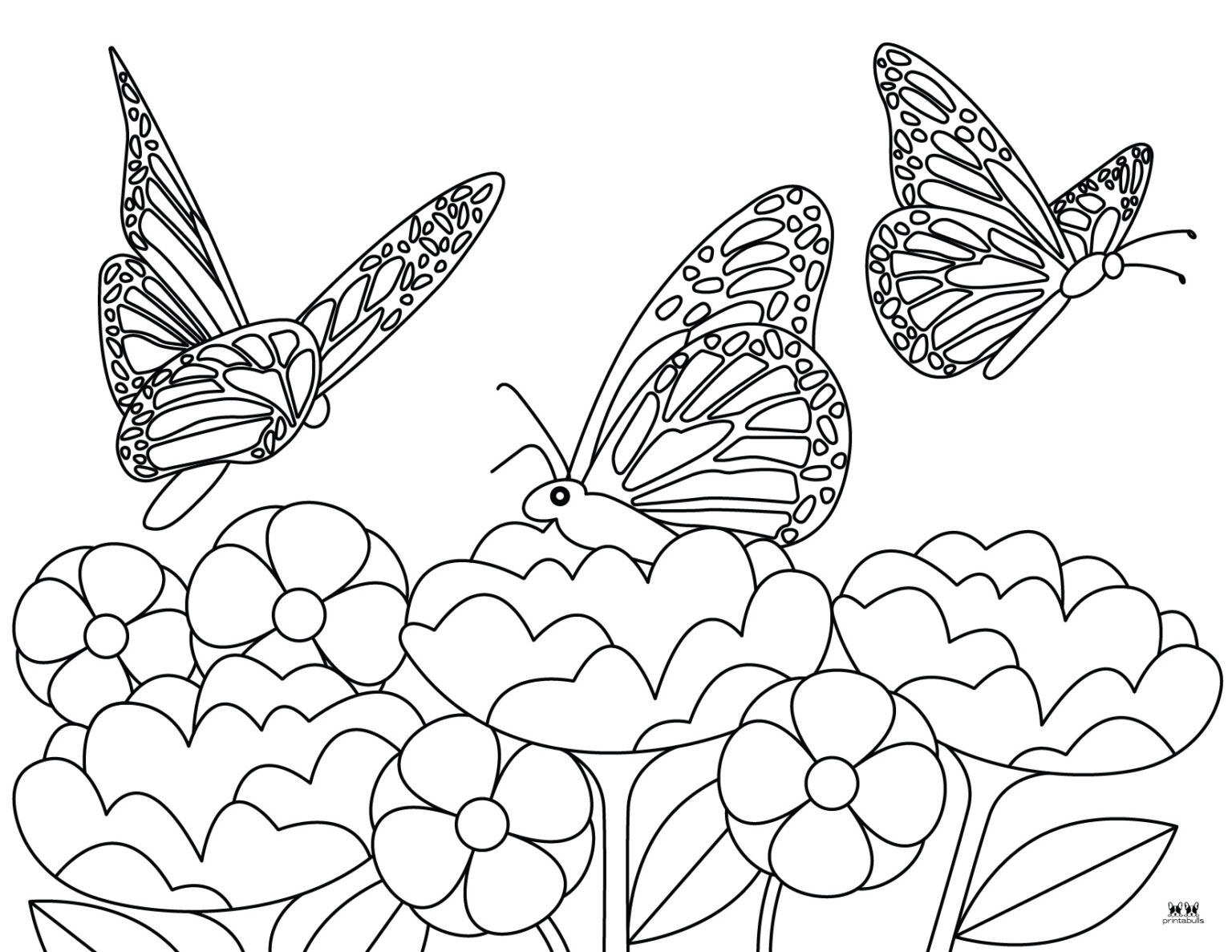 Butterfly Coloring Pages - 50 FREE Pages | Printabulls