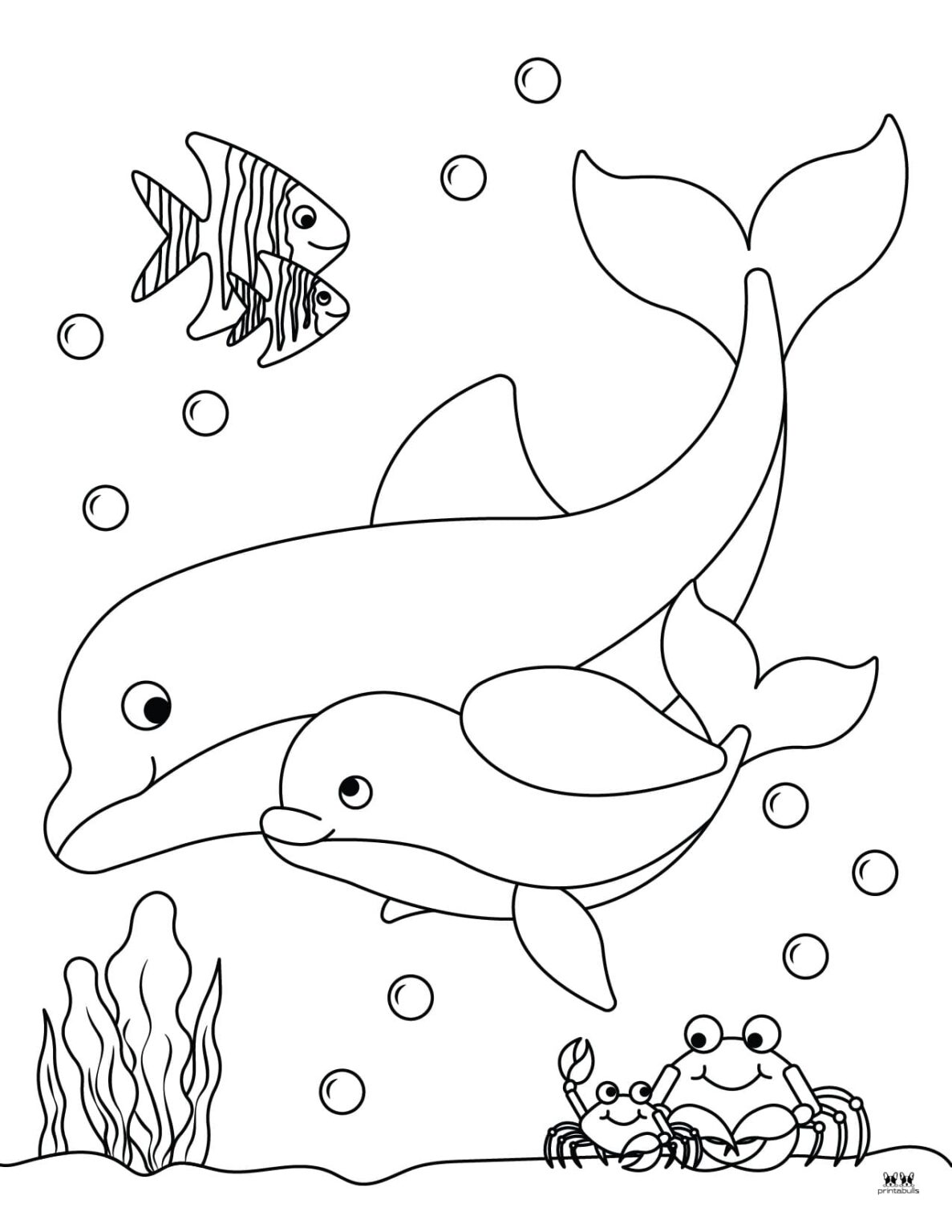 Dolphin Coloring Pages & Templates - 28 FREE Pages | Printabulls