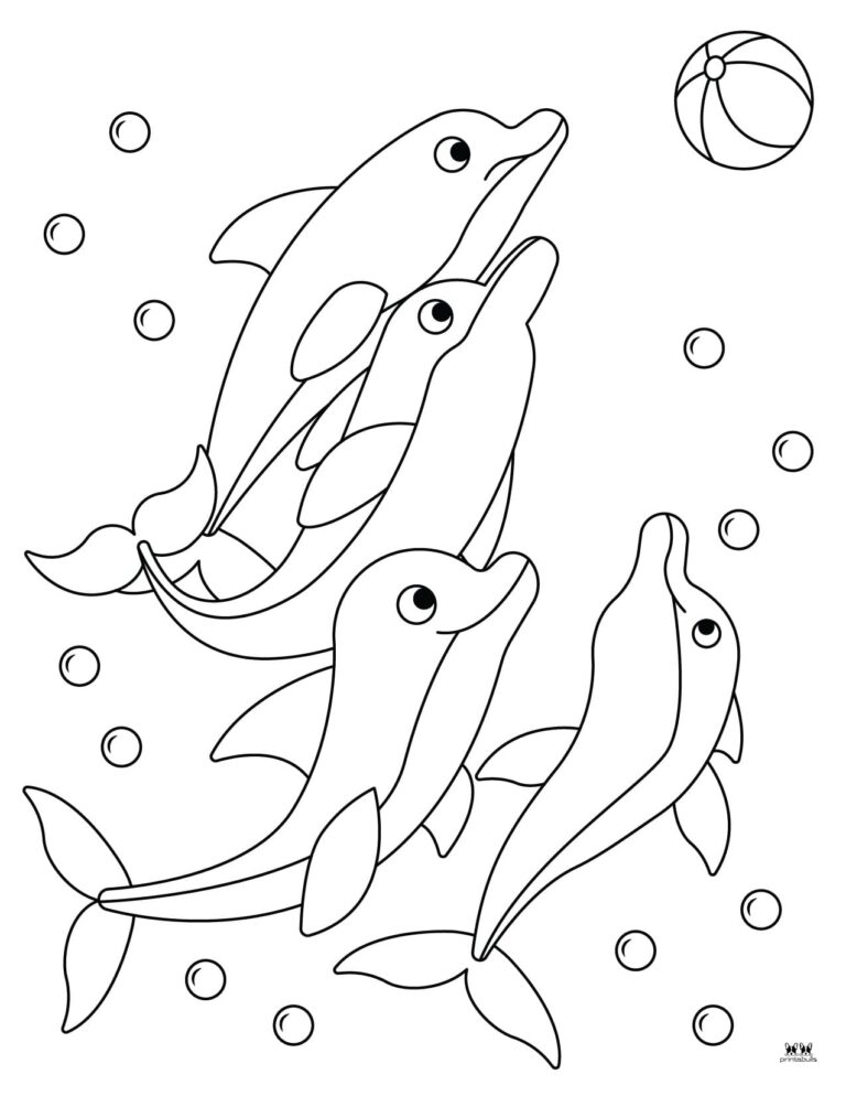 Dolphin Coloring Pages & Templates - 28 FREE Pages | Printabulls