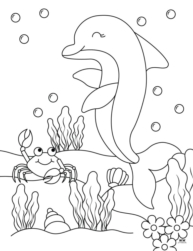 Dolphin Coloring Pages & Templates - 28 FREE Pages | Printabulls