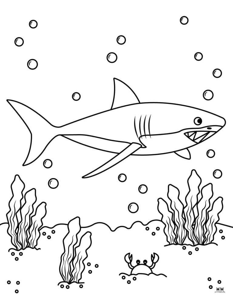 Shark Coloring Pages - 25 FREE Pages | Printabulls