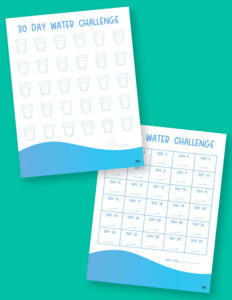 30 Day Challenge Printables | Printabulls