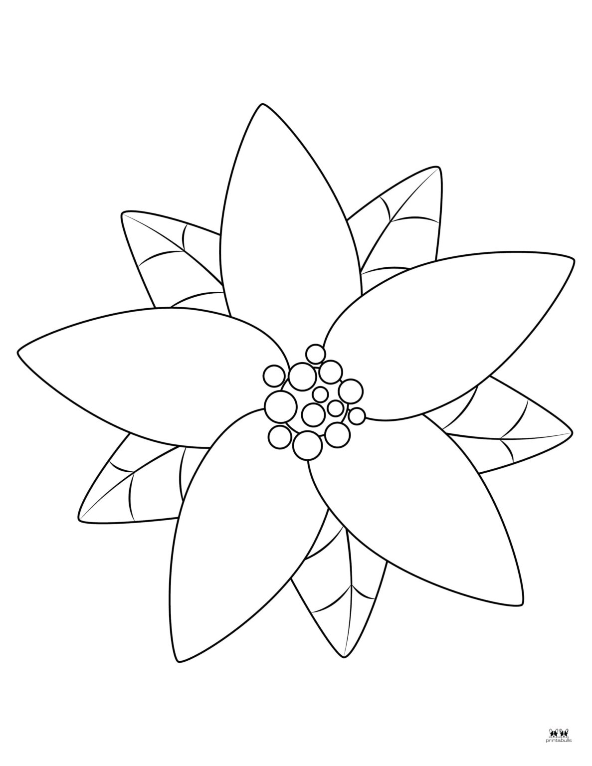 Poinsettia Coloring Pages & Templates - Free 