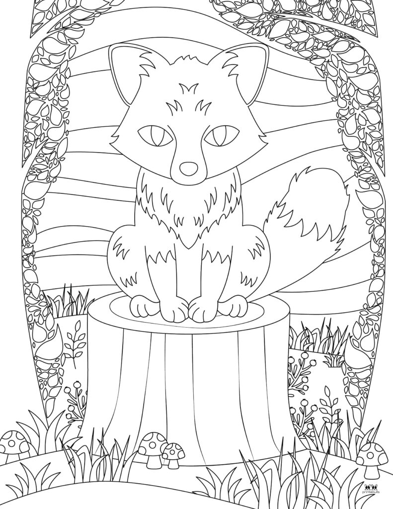 Printable-Fox-Coloring-Page-33