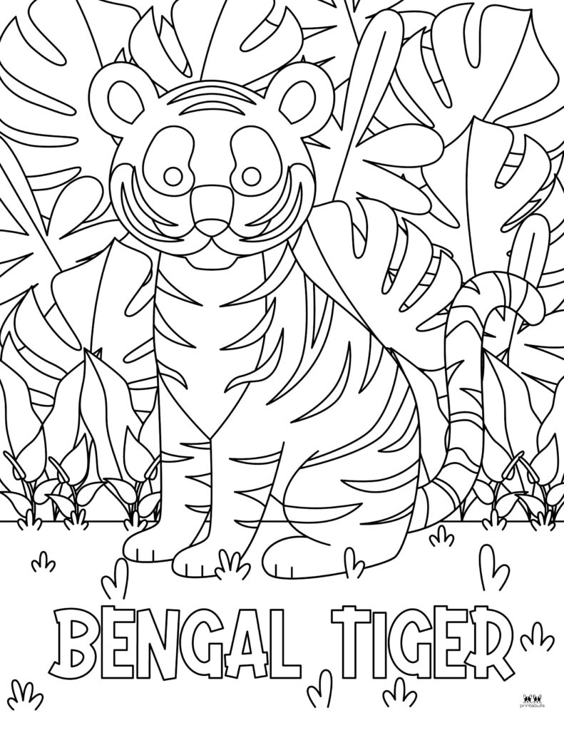 Printable-Tiger-Coloring-Page-19