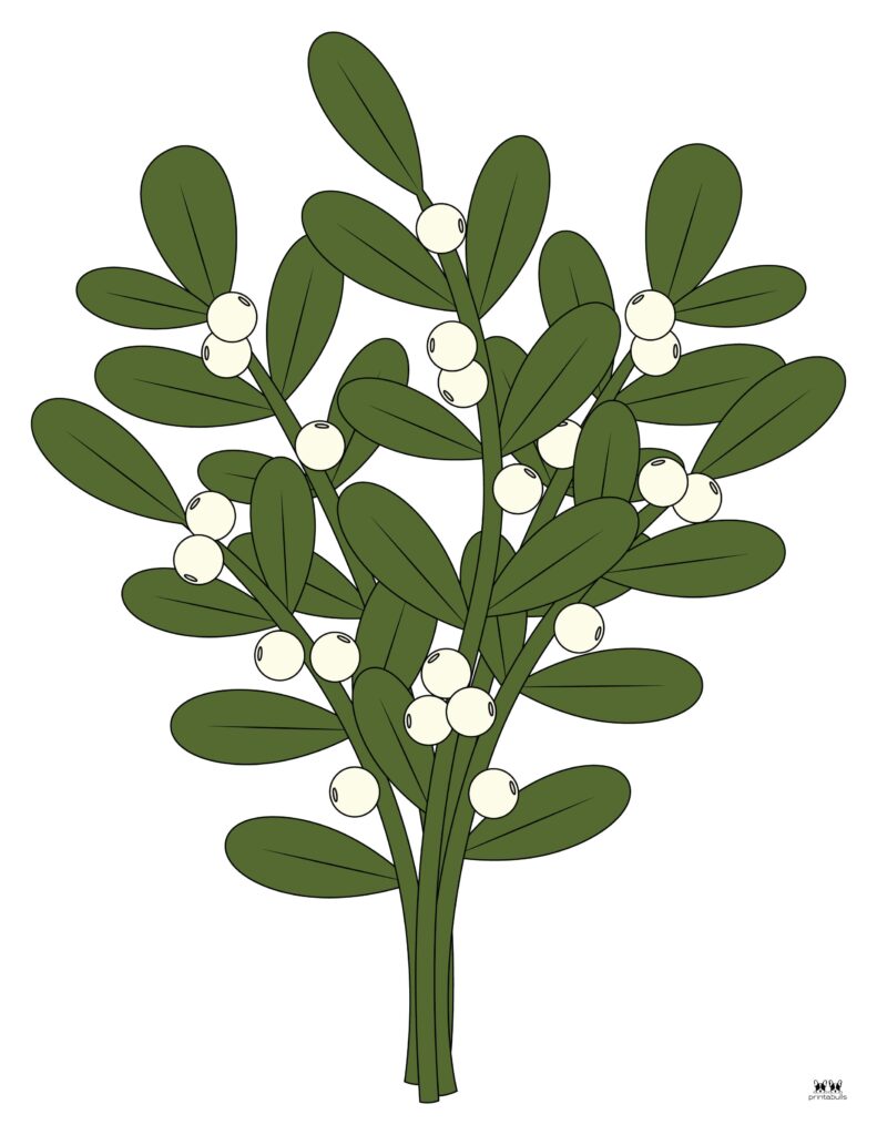 Printable-Mistletoe-Template-9